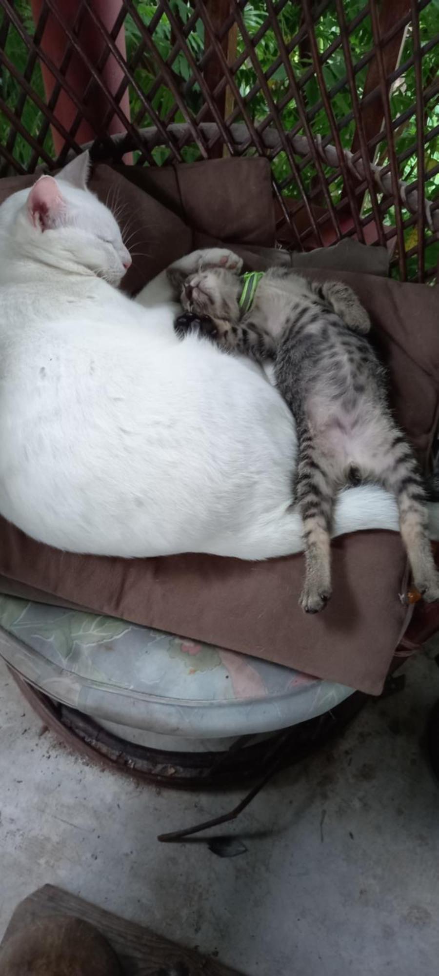 Plus Hostel Ayutthaya Экстерьер фото